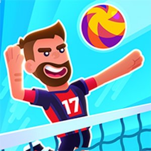 Net Rally Pro Volleyball