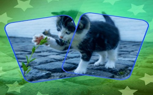 Cat Puzzle Memory Match Game