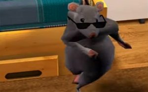 Whiskers Cheese Hunt