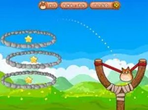 Feline Flight Ring Puzzle