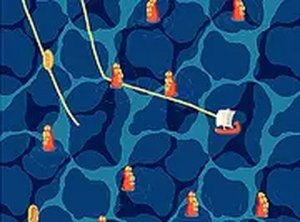 Daily Tide Puzzle