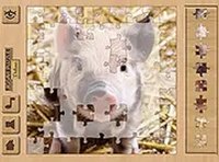 Jigsaw Puzzle Deluxe Online Puzzle Game