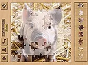 Jigsaw Puzzle Deluxe Online Puzzle Game